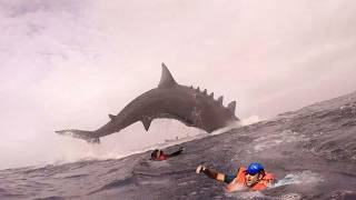 REAL Cryptids Caught Clearly On Camera - Part 2