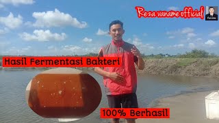 Hasil Fermentasi Bakteri dan Aplikasi kelahan