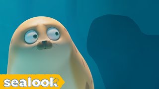 Unexpected HarmonyㅣSEALOOKㅣEP.51