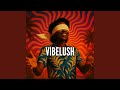 Vibelush