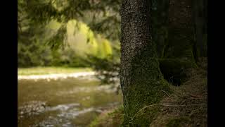 Lesson 142 - A Course in Miracles (ACIM) Workbook