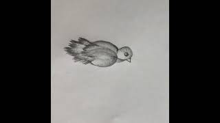 Easy drawing for beginners|how to draw a bird|easy 3D drawing trick for kids|#shorts