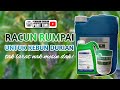 Racun Rumpai Untuk Kebun Durian