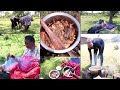 HOW TO COOK KIENYEJI CHICKEN IN THE VILLAGE//I DID NOT KNOW TORTOISE IS FAST//AFRICAN VILLAGE LIFE