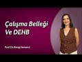 Çalışma Belleği ve DEHB