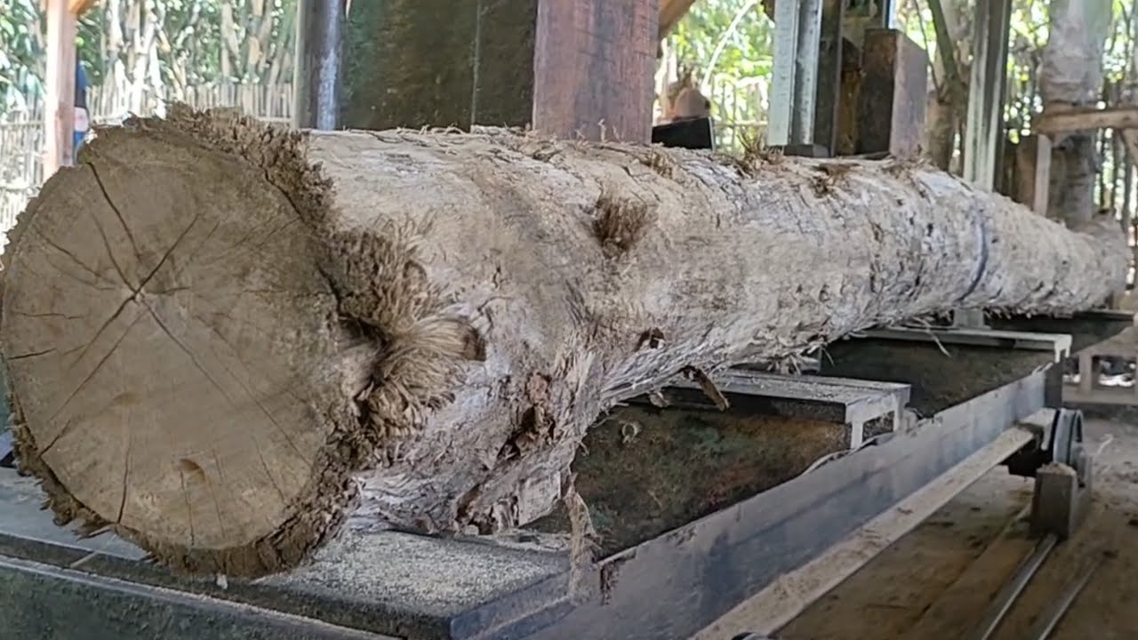 Sawing Long Teak Wood Youtube