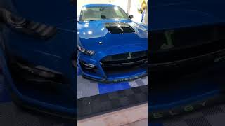 SHE SOMETIMES ACTS😎 LIKE A BECKY👠…. 2020 GT500 💪3.8 WHIPPLE💀#shorts #mustang #shelby