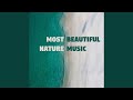 Tranquility Sounds