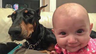 Family Dog Saves Baby’s Life, But From What?
