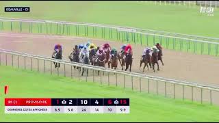 QUINTE +ARRVEE  23 DÉCEMBRE 2024 - 13:55R1  DEAUVILLE  C1    PRIX BFM NORMANDIE (PRIX DU MONT SAINT