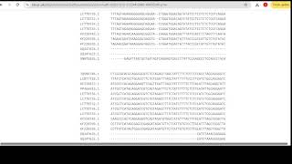 Phylo 3: Multiple Sequence Alignment of DNA Sequences for Phylogenetic Tree Construction