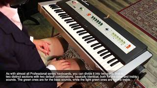 Farfisa Professional Piano - Explained by Alberto Bazzoli ITA sub ENG