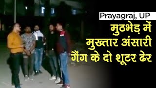 Prayagraj: UP STF ने Mukhtar Ansari Gang के Criminal Wakeel Pandey, Amjad को Encounter में किया ढेर