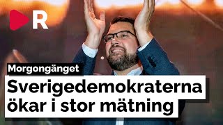 Morgongänget: Sverigedemokraterna ökar i stor mätning