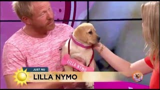 "Tack lilla Nymo för att du kom in i våra liv" - Nyhetsmorgon (TV4)