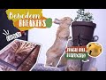 How to Keep Your Rabbit Busy! | Bunny Boredom Breakers