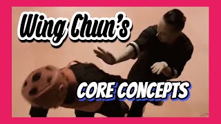 Wing Chun’s Core Concepts #wingchun  #wushu  #kungfu