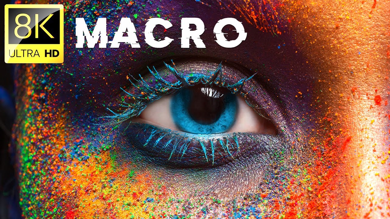 Macro Shots Collection In 8k Ultra Hd 60 Fps Satisfying Film With