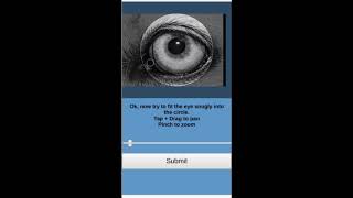 Iris Detection Algorithm (~2019)