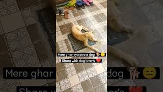 ye street dog roj mere ghar ajata hai🐕❤️ #viral #ytshorts #shortsfeed #dailyshorts #shorts #doglover