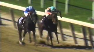 1990 Breeders' Cup Sprint - Safely Kept -vs- Dayjur