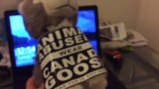 Message Canada Goose Uggs Truth