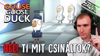 Goose Goose Duck - 4.Rész (Hékás! Ti Mit Csináltok?) - Stark LIVE