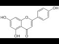 Apigenin | Wikipedia audio article