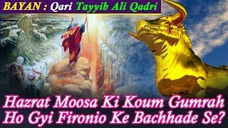 Hazrat Moosa Ki Koum Gumrah Ho Gyi Fironio Ke Bachhade Se ? Great Bayan by Qari Tayyib Ali Qadri..