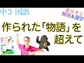 【ゴリラへの誤解】作られた「物語」を超えて【中３国語】教科書あらすじ&解説〈山極寿一　著〉