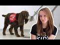 Training dogs to detect COVID-19 | CBC Kids News