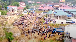 Khám phá chợ LÙNG PHÌNH - BẮC HÀ - LÀO CAI phiên chợ miền núi mộc mạc và bình yên !