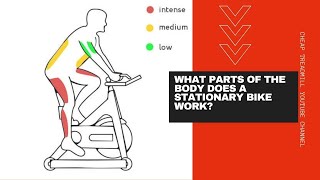 What Parts of the Body Does a Stationary Bike Work?