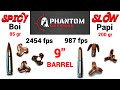 BEST 300BLK Ammo for Hunting and Defense? - Phantom Defense 300BLK