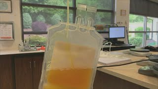 Blood Connection seeking plasma donors