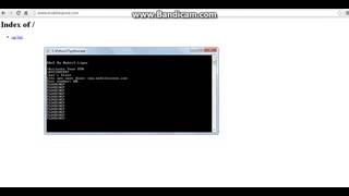 How To DDoS Using Python