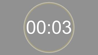 3 SECONDS - 4K - COUNTDOWN IN REVERSE - SECOND TIMER -