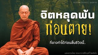 จิตหลุดพ้นก่อนตาย! เข้าถึงได้ก่อนสิ้นชีวิตนี้ #พุทธวจน |แสดงธรรมโดยพระอาจารย์คึกฤทธิ์| Buddha Sawago