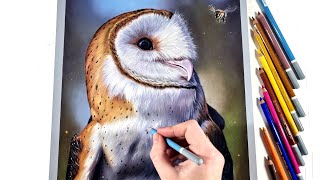 BARN OWL drawing with Pastel Pencils! Achieving photorealism