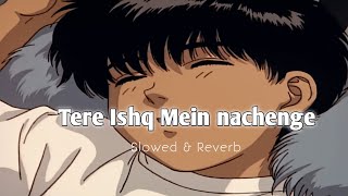Tere Ishq Mein Nachenge Lofi Song  || Slowed & Reverb Song || #lofi