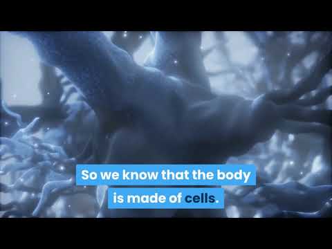 Are animals made up of atoms?
