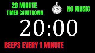 20 Minute Workout Countdown Timer with 1 Minute Interval Beeps | NO MUSIC