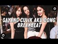 Dj Sayang Culik Aku Dong Nisa Fauzia Breakbeat