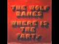 THE WOLF BANES - The Elevator.wmv