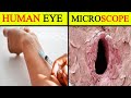 10 Think You Can See Only Under Microscope | Info At Adnan