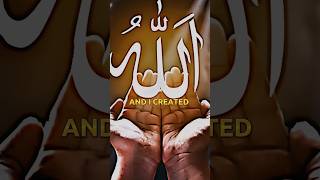 You Can't Imagine What Allah Created | Islamic videos #islamicvideo #allah #edit #shorts #trending
