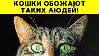 Ты тот самый человек, которого любят кошки?