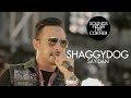 Shaggydog - Sayidan | Sounds From The Corner Live #23