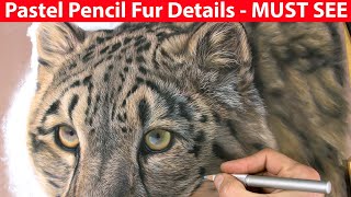 Pastel Pencil Drawing Fur Details - Animal Art  -Jason Morgan