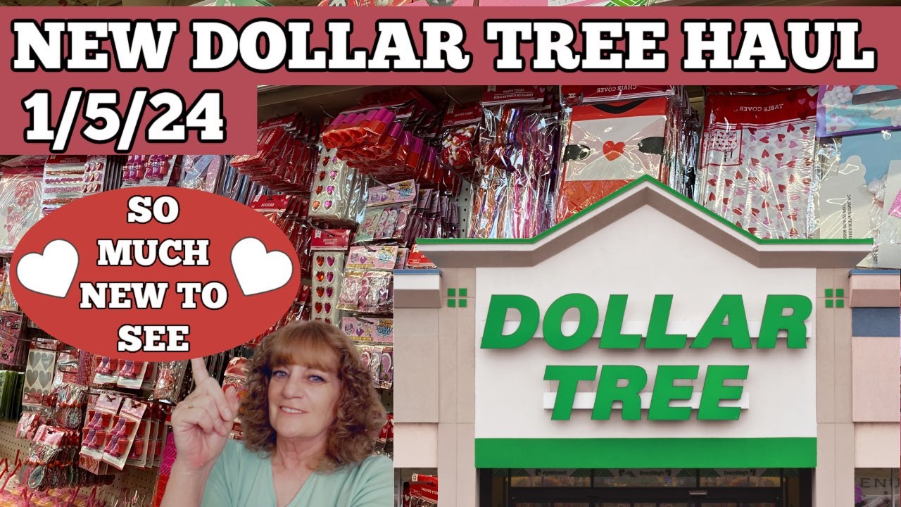 New Dollar Tree Haul 1 5 24 Youtube